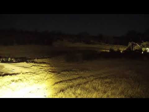 camera iphone 8 plus apk Djuma Private Game Reserve Live Stream