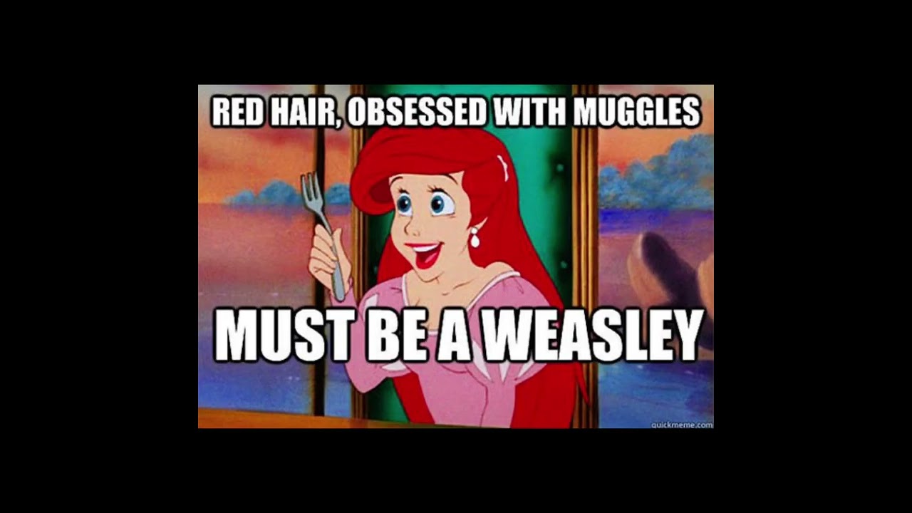 Harry potter memes #2