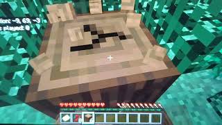 Great Start To My New Minecraft World!