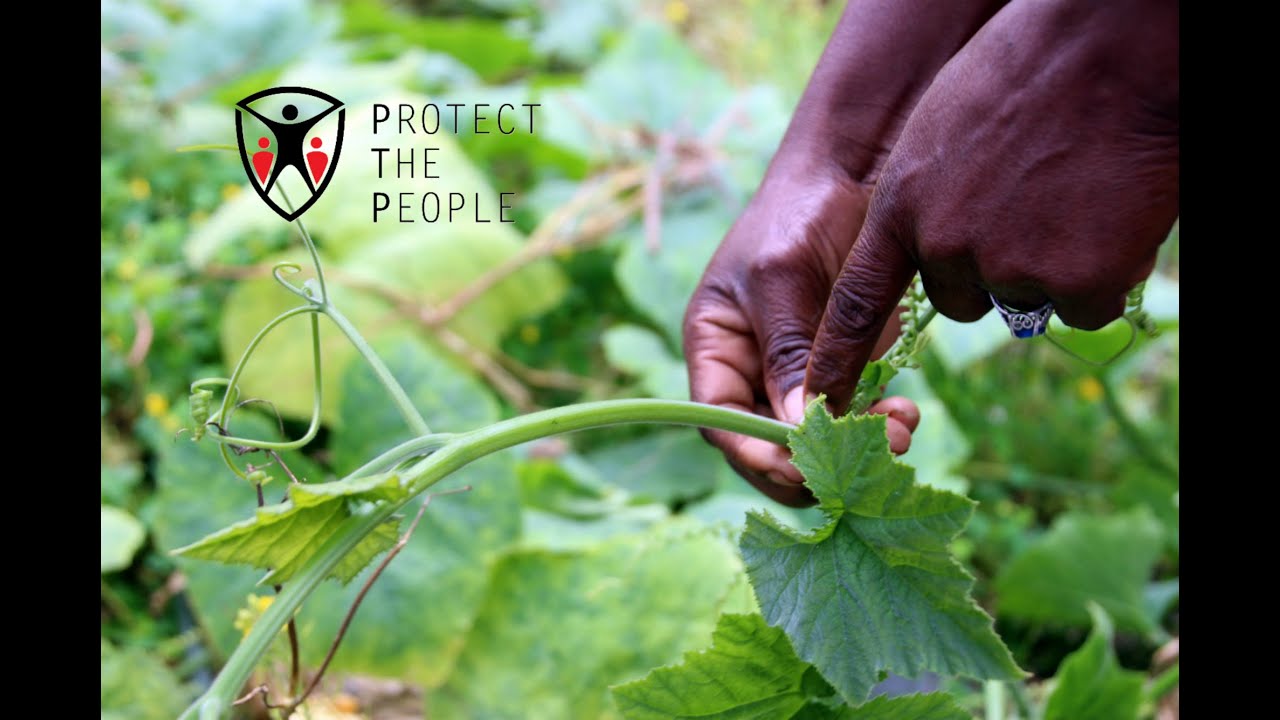 Protect the People - Haiti