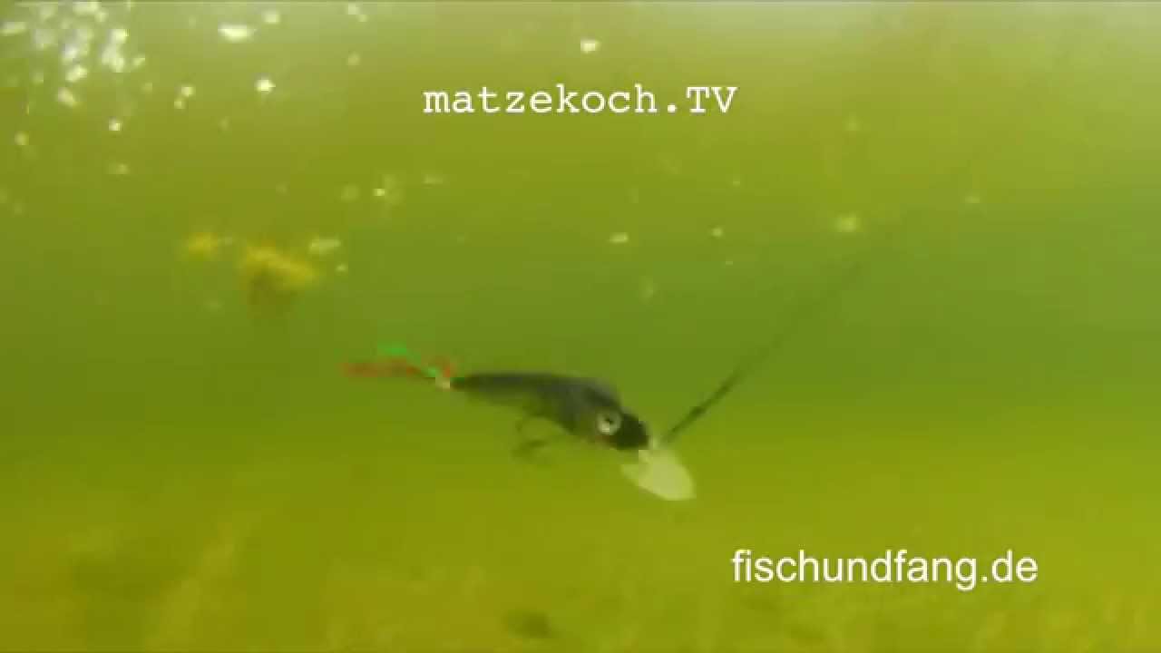 Dieser Clip ist Teil eines BLOG Eintrages auf matzekoch.tv