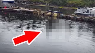 Der Fischer filmt das Wasser, und traut seinen Augen nicht!