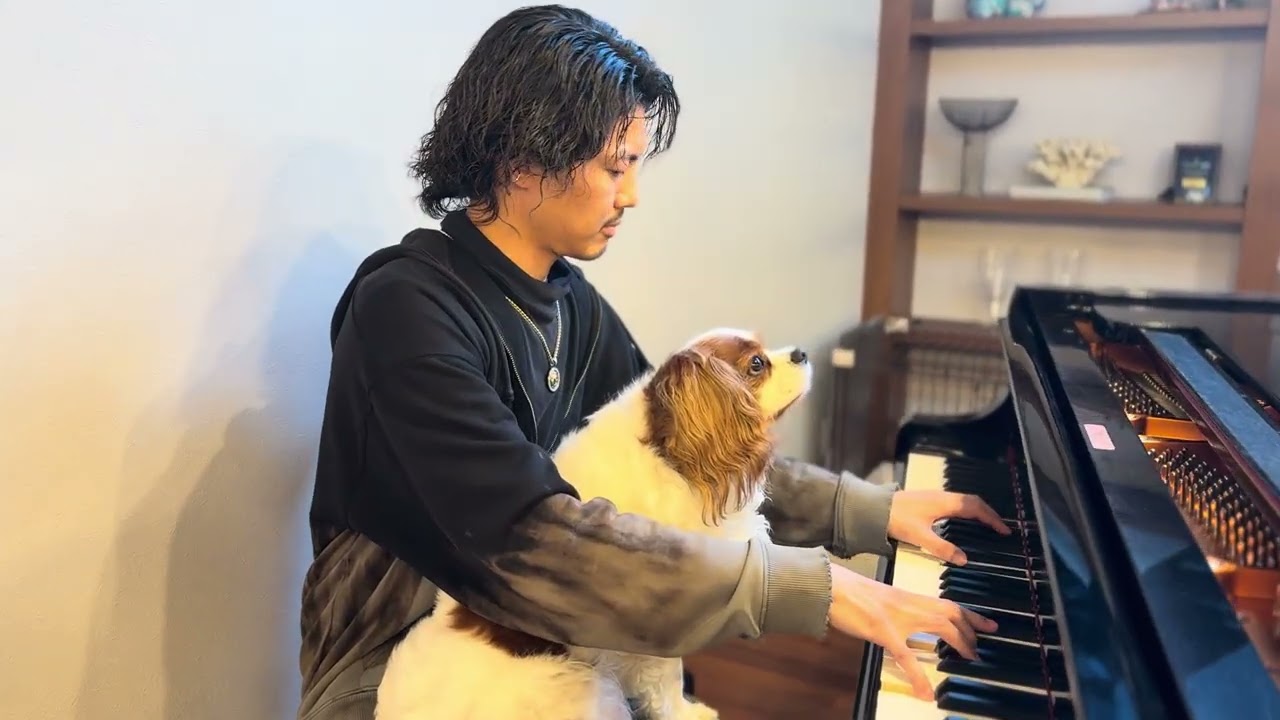Further Than the Ocean - Wong WingTsan + Aska Strings [official