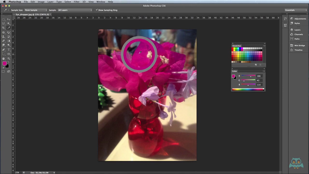 PHOTOSHOP CS6 & CC eye dropper tool