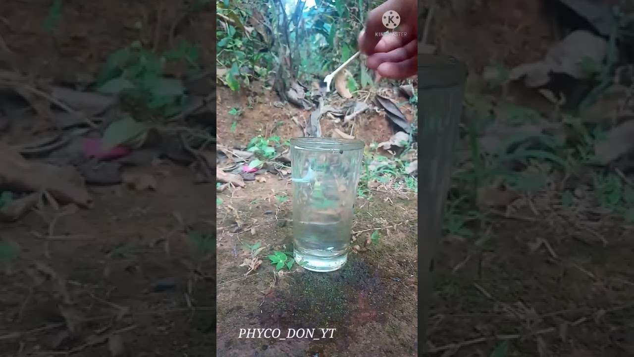 COLGATE EXPERIMENT MALAYALAM 🔥|PHYCHO DON|SHORT|MACTH BOX