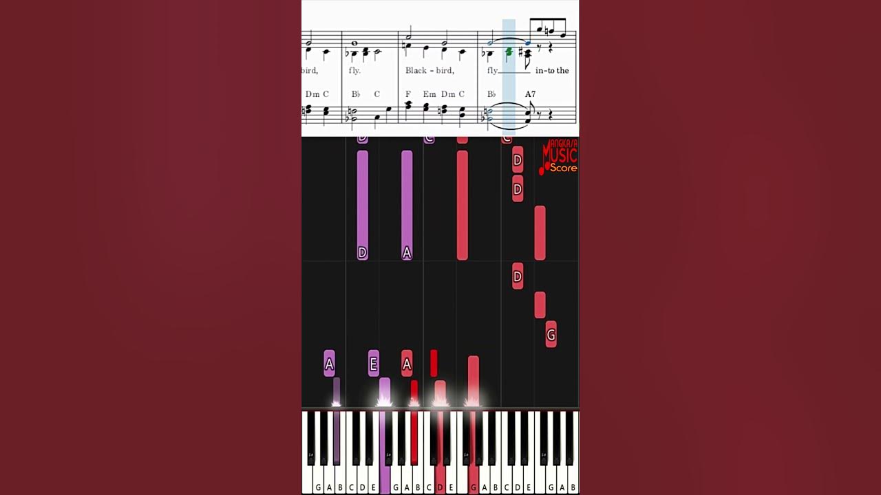 Blackbird [John Lennon & Paul McCartney]-Ending Part | The Beatles Piano Tutorial (Easy) #Shorts