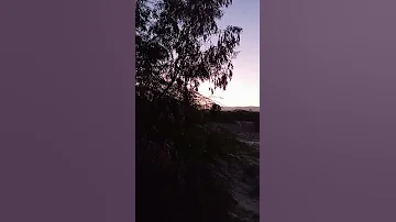 صوت العصافير الساعه ٦ صباحا عند شروق الشمس 