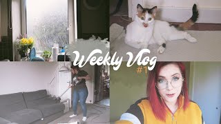 Weekly Vlog #1