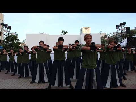 香川大学よさこい連 風華  香川大学祭  「南中ソーラン」