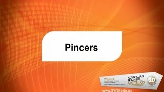 Pincers
