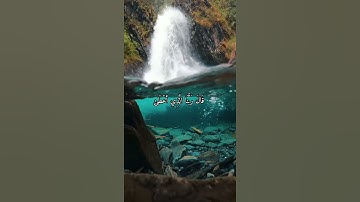 واتس اب قران كريم القارئ ياسر دوسري (سوره طه)