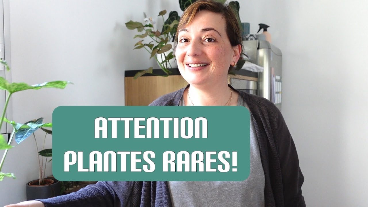 HAUL PLANTES | ATTENTION PLANTES RARES!