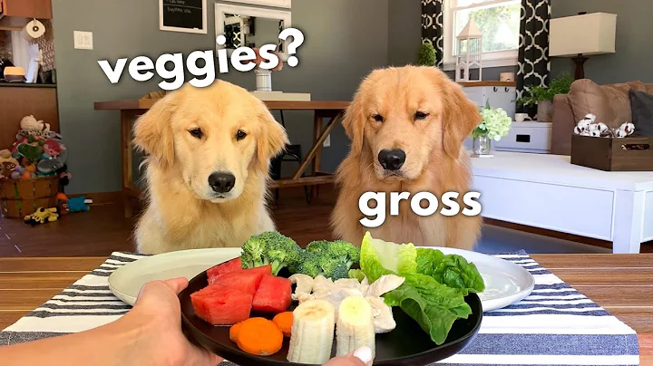 Dog Reviews Food With Girlfriend | Tucker Taste Test 12 - DayDayNews