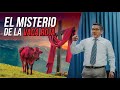 EL MISTERIO DE LA VACA ROJA (Pt. Norman Guanotuña)