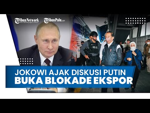 Presiden Jokowi Ajak Diskusi Presiden Putin Bahas Pembukaan Blokade Ekspor Gandum hingga Pangan