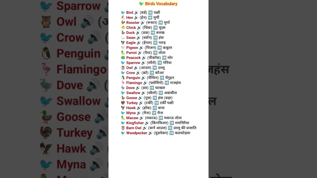 25 Birds Vocabulary | Learn English Bird Names | Hindi Meaning | Zaid English Hub #shortvideo #viral