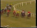 1985 champion hurdle  see you then  replay  enclosure