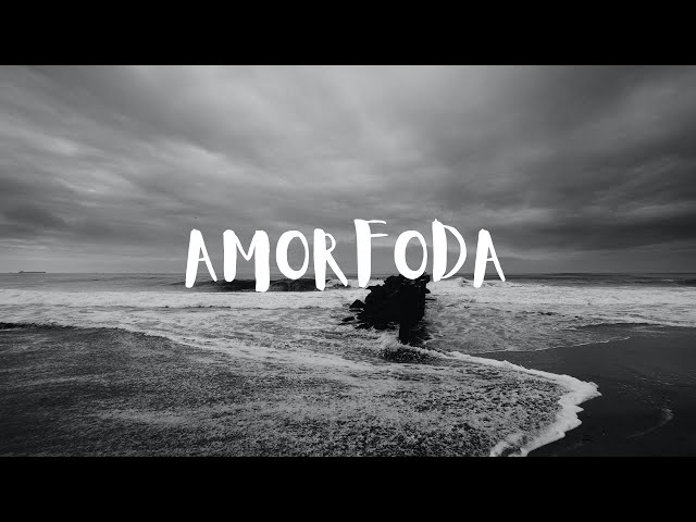 Bad Bunny - Amorfoda