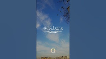 قل ادعوا الله أو ادعوا الرحمٰن - سورة الإسراء - محمد الباقري