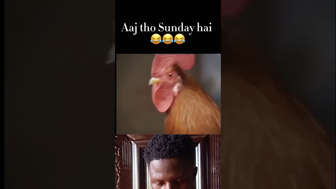 only legend knows what this means 🤣🤣😂