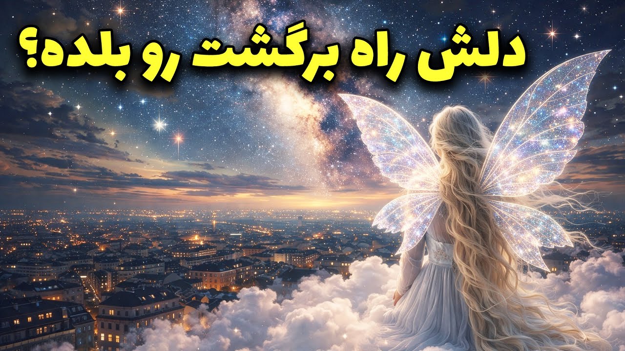 پریان تاروت - دلش راه برگشت رو بلده؟