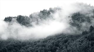 De Rosa - 'Sylvia' (Feat. Georgia Cécile and Gillian Fleetwood)