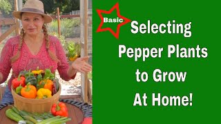 Types of PEPPER PLANTS to Grow at Home/🔥WHY is this PEPPER so HOT?  🔥Capsaicin (Foodie Gardener) by Eden Maker by Shirley Bovshow 702 views 2 years ago 1 minute, 33 seconds