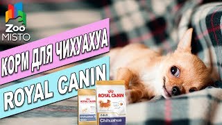 Корм для собак Роял Канин Чихуахуа| Обзор Корма Роял Канин | Royal Canin Chihuahua review Корм для собак Роял Канин Чихуахуа| Обзор Корма Роял Канин | Royal Canin Chihuahua review