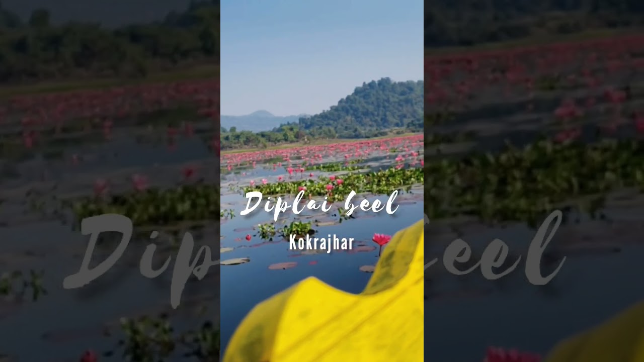 Diplai Lake - Kokrajhar 