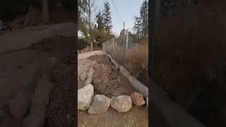Делаем новый газончик #horse #garden #doronfarmsbenshemen