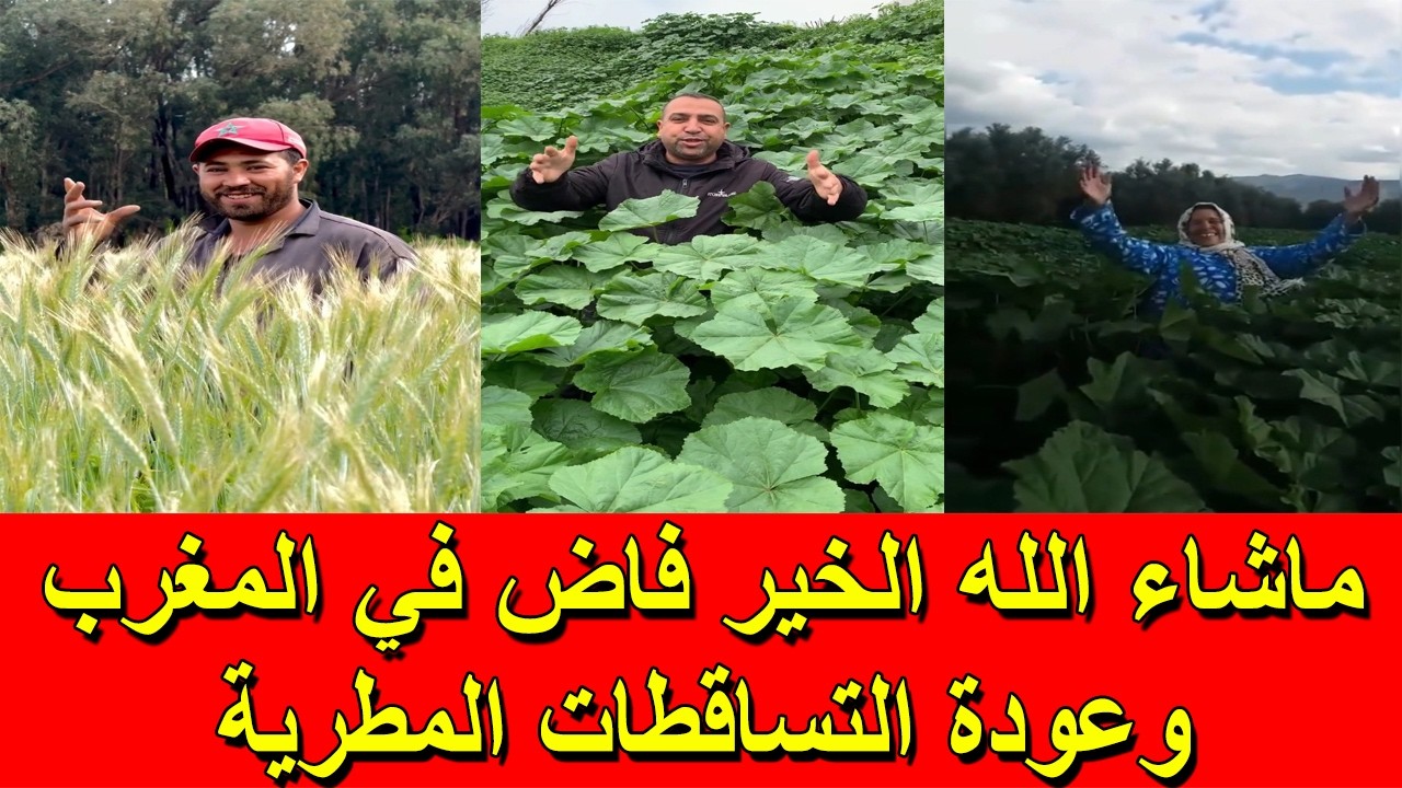 ماشاء الله الخير فاض في المغرب و عودة التساقطات المطرية
