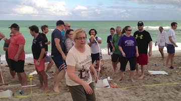 Catapult Team Building - Quixote Consulting