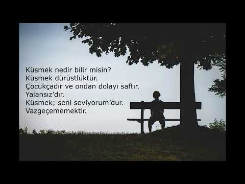 Nazım Hikmet | Küsmek Nedir Bilir Misin ?