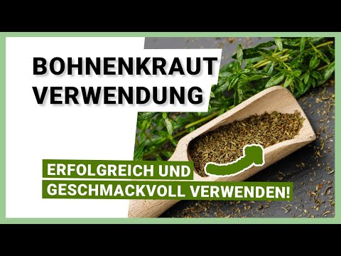 Video: Tipps zum Anbau von Bohnenkraut in Gärten: Wofür wird Bohnenkraut verwendet?