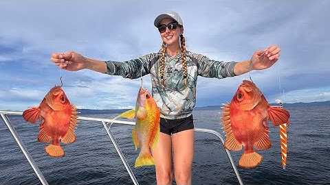 Offshore Fishing Colombia: GIANT Rooster Fish & NEW World Record Fish!