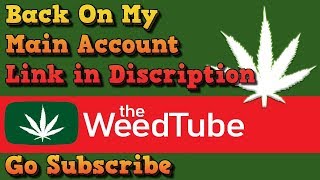🔥 KingBong 420 Back On My Main Account 🔥 Check Description For Link to My Main Channel 🔥 Come Sub