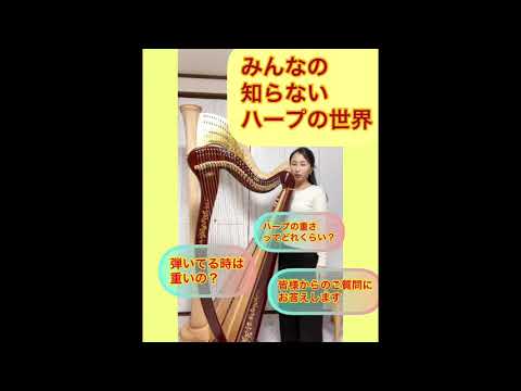 【みんなの知らないハープの世界】ハープに関する皆様からの質問にお答えします♪