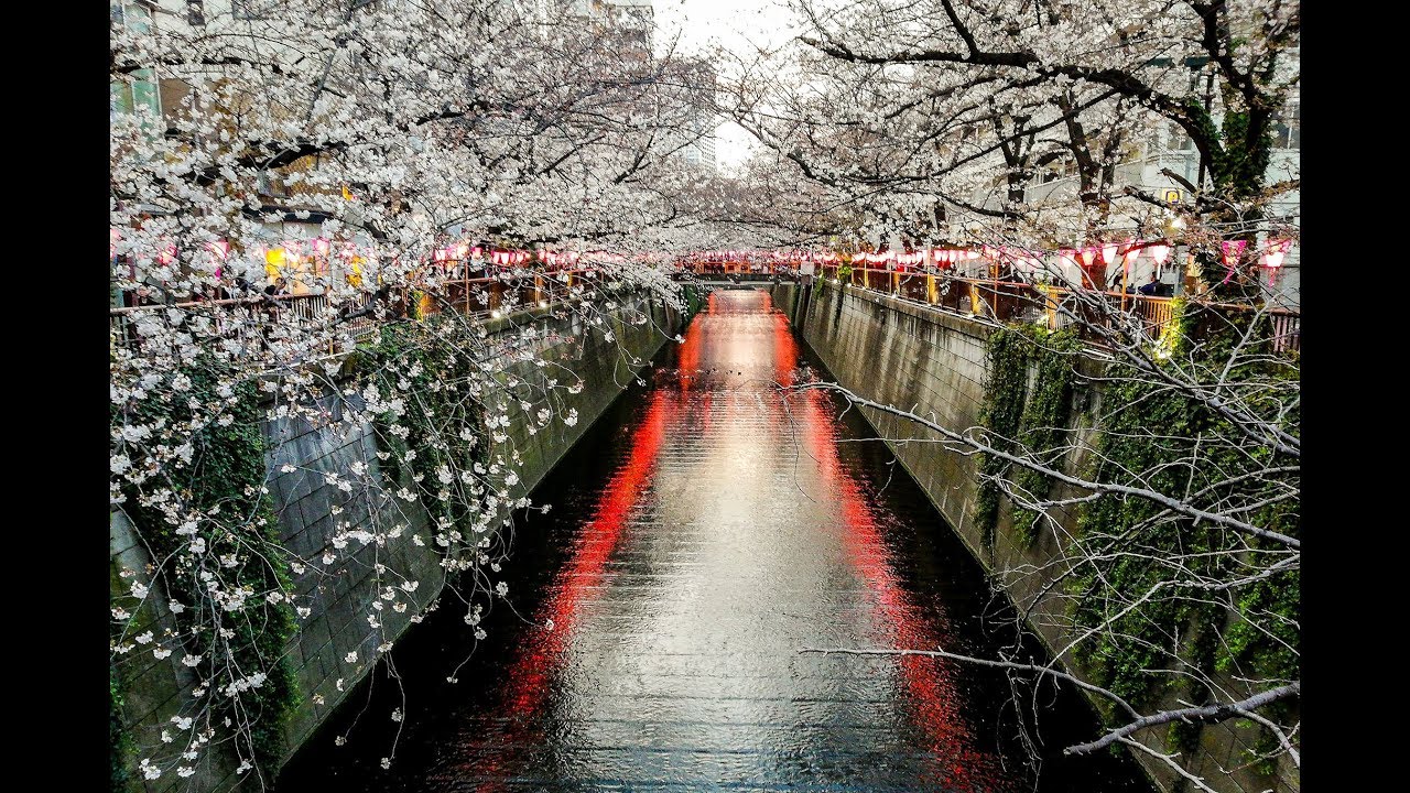 TIME TO GO HOME | LiquidCollective_Vlog4