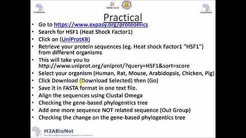H3ABioNet Multiple sequence alignment: Practical 1 (En, Ar)