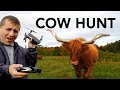 Using Drones to Find a Cow