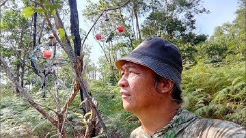 Dua pikat turun spot karas tompinai.