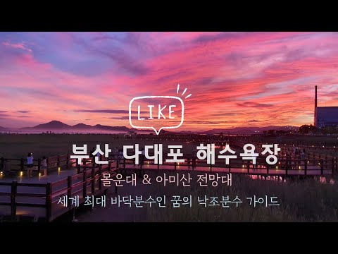 Busan Guide Korea 환상적인 낙조의 다대포 해수욕장 아미산 전망대 몰운대 세계 최대의 꿈의 낙조분수 