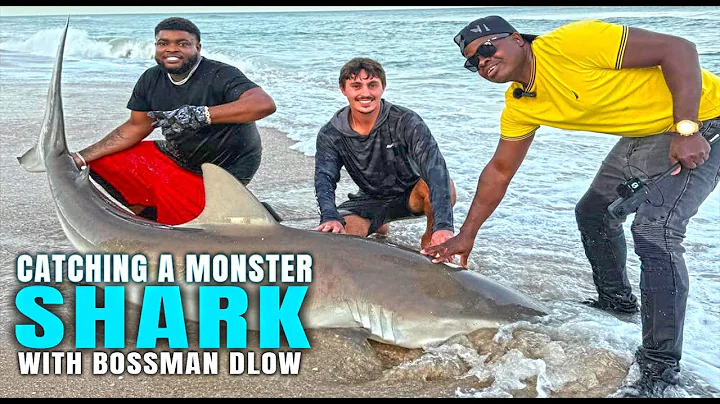 Giant Shark Caught on Florida Public Beach 🦈 | Shark Fishing Adventure with  Bossman Dlow