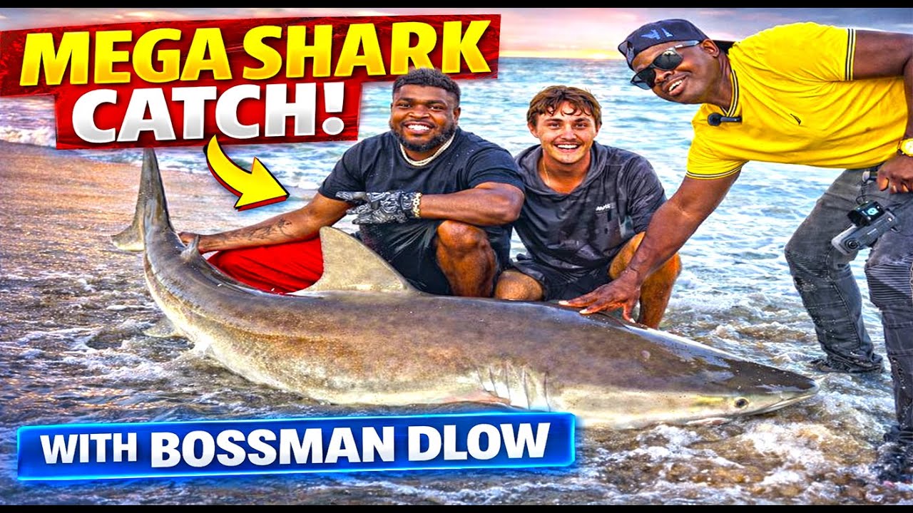 На общественном пляже во Флориде рэпер Bossman Dlow поймал огромную акулу!