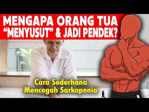 Hanya 3 Gerakan: Cara Memperkuat Otot Kaki Agar Tidak Menyusut Saat Tua (Sarkopenia)