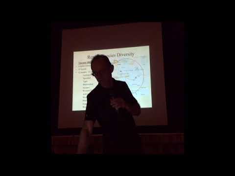 video phone beyonce mp3 Methow Conservancy Herpetology Course - Class #4