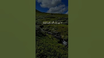 سورة الروم { ٣٠ ــ ٣٣ } #ياسر_الدوسري انشر تؤجر #quran
