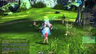 Tera Online combat system overview