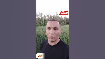 ماهي #السورة التي #تسمى ب: "عروس القران الكريم" ؟