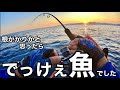 釣りは何があるかわからない。